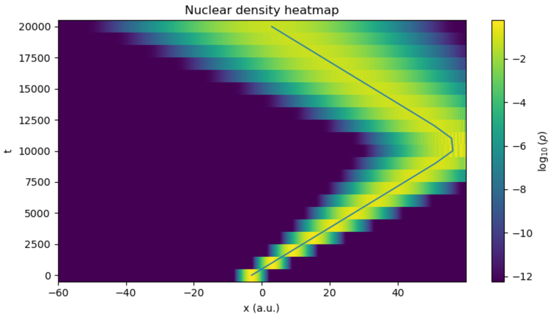 Long-time nuclear density heatmap showing boundary effects