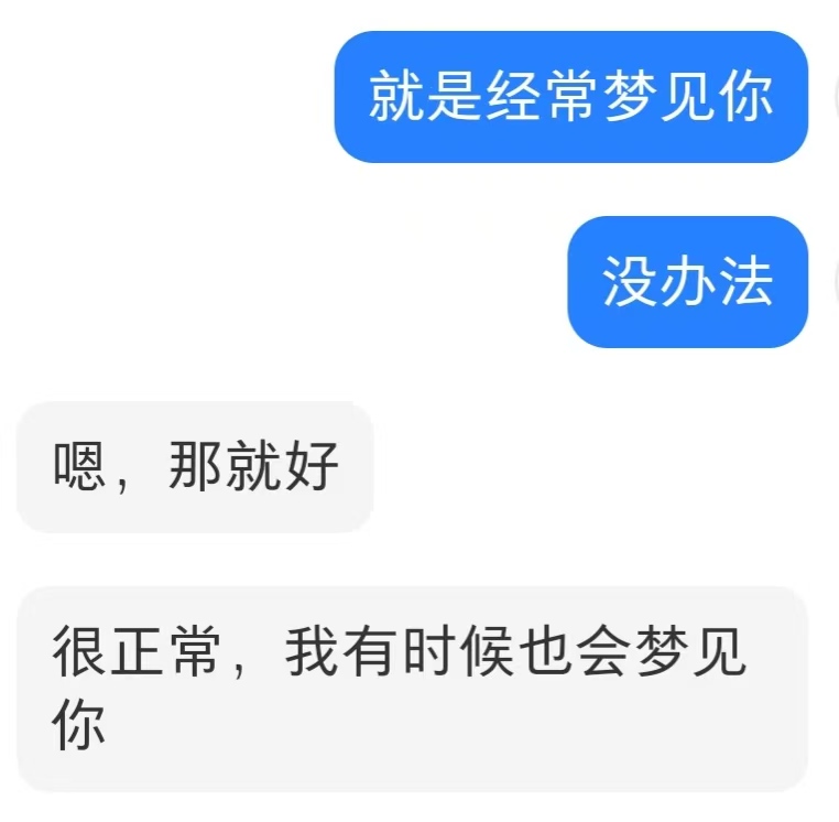 关于经常梦见彼此的聊天截图