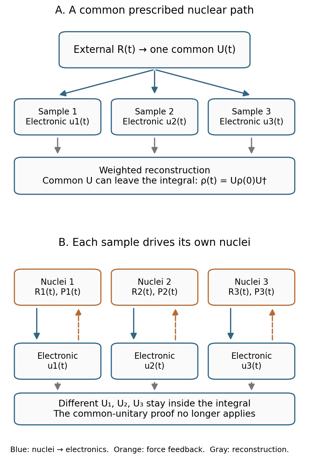 A common nuclear path drives all electronic samples through one unitary, whereas independent nuclear feedback produces different unitaries
